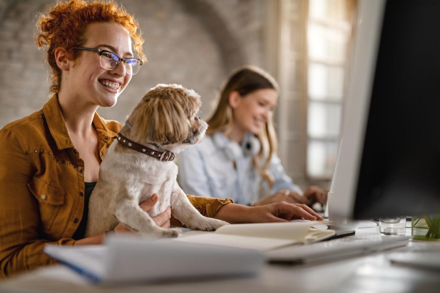 SEO audit training session showing technical analysis on computer screens